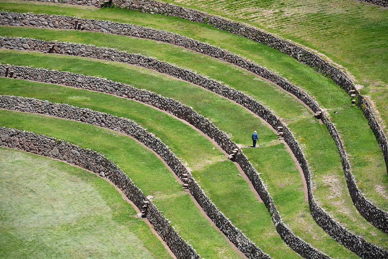 Andean terrace