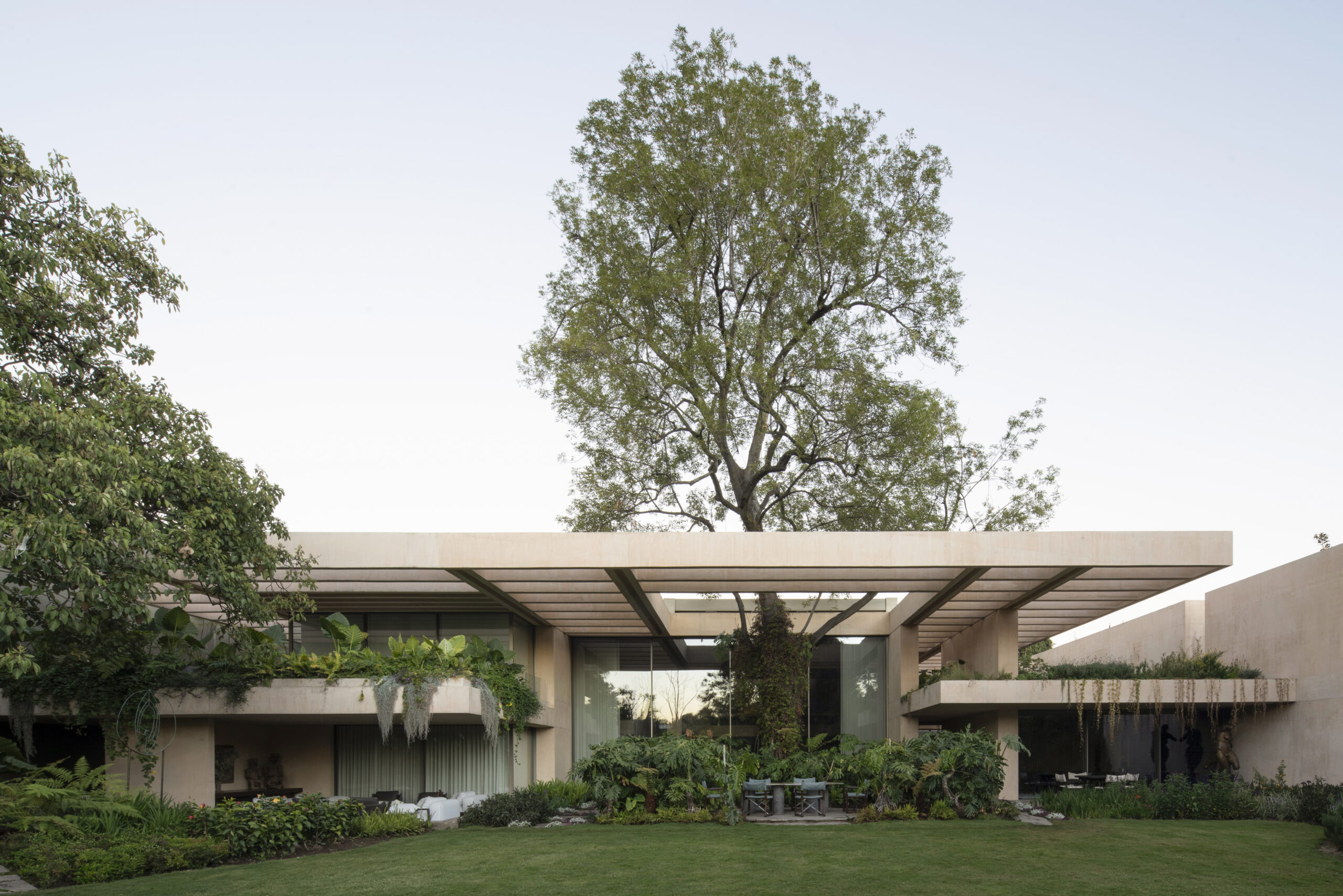 Garden façade of Casa SM with central ash tree framed by a horizontal concrete canopy, Mexico City. By Sordo Madaleno.