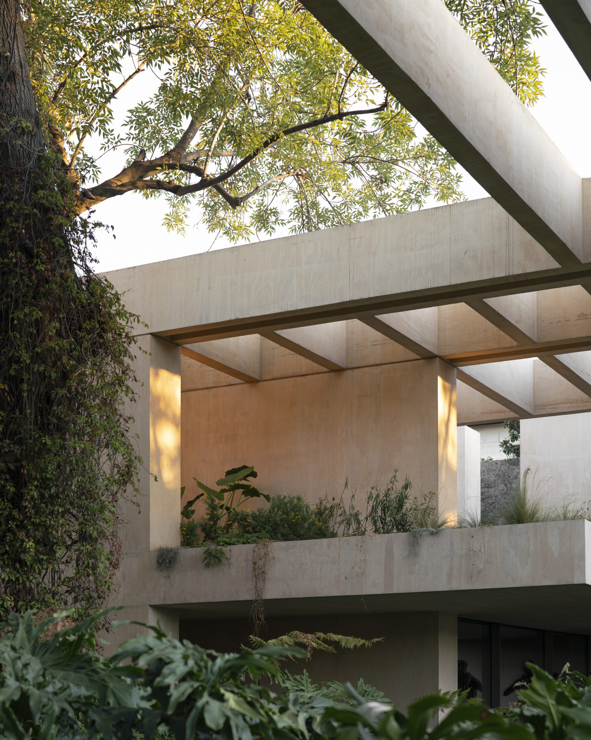 Concrete roof canopy and lush garden terraces at Casa SM, a modernist family home in Mexico City by Sordo Madaleno.