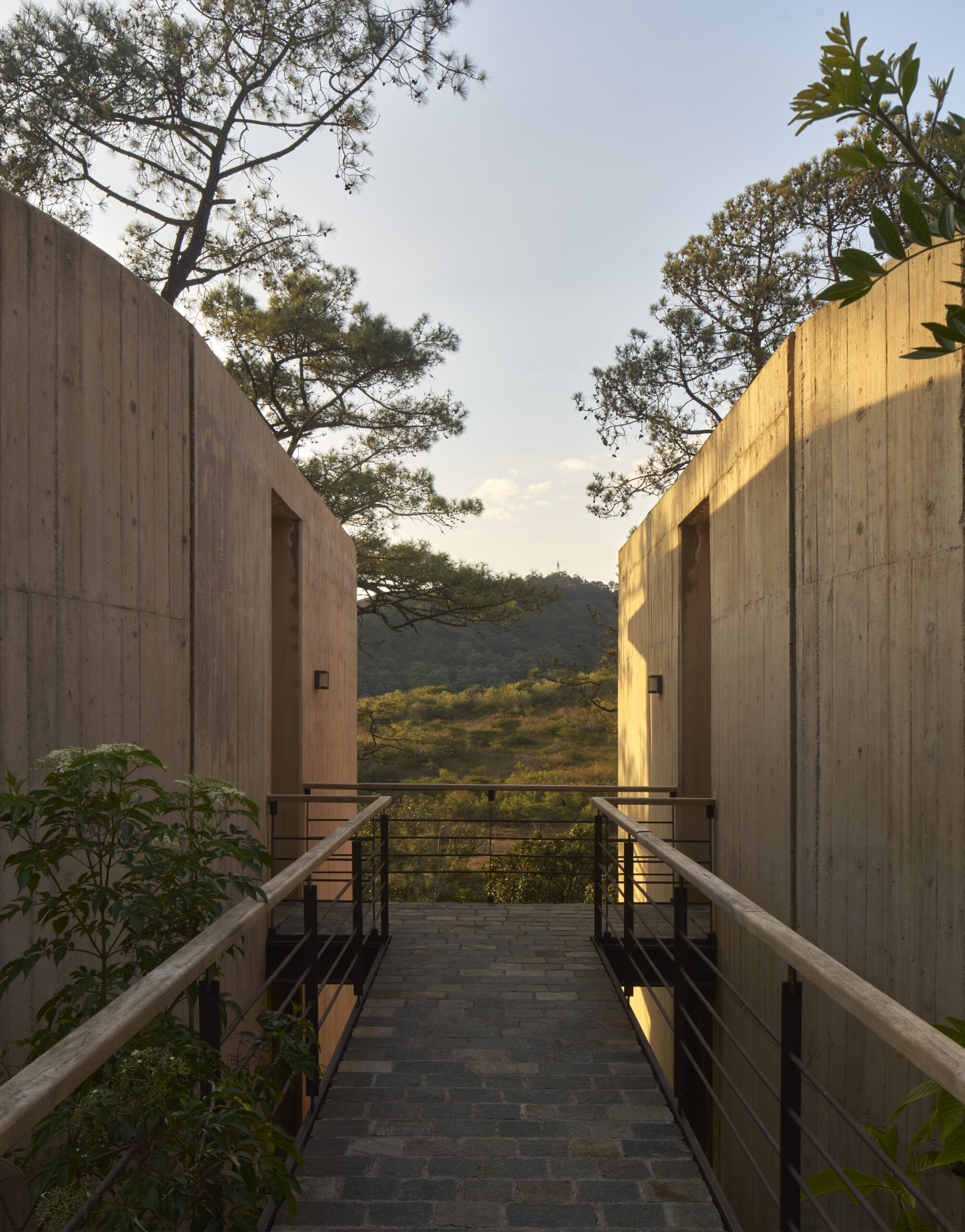Rancho del Bosque by Sordo Madaleno, a brutalist house in Valle de Bravo composed of six concrete pavilions embedded in the forested hillside landscape.