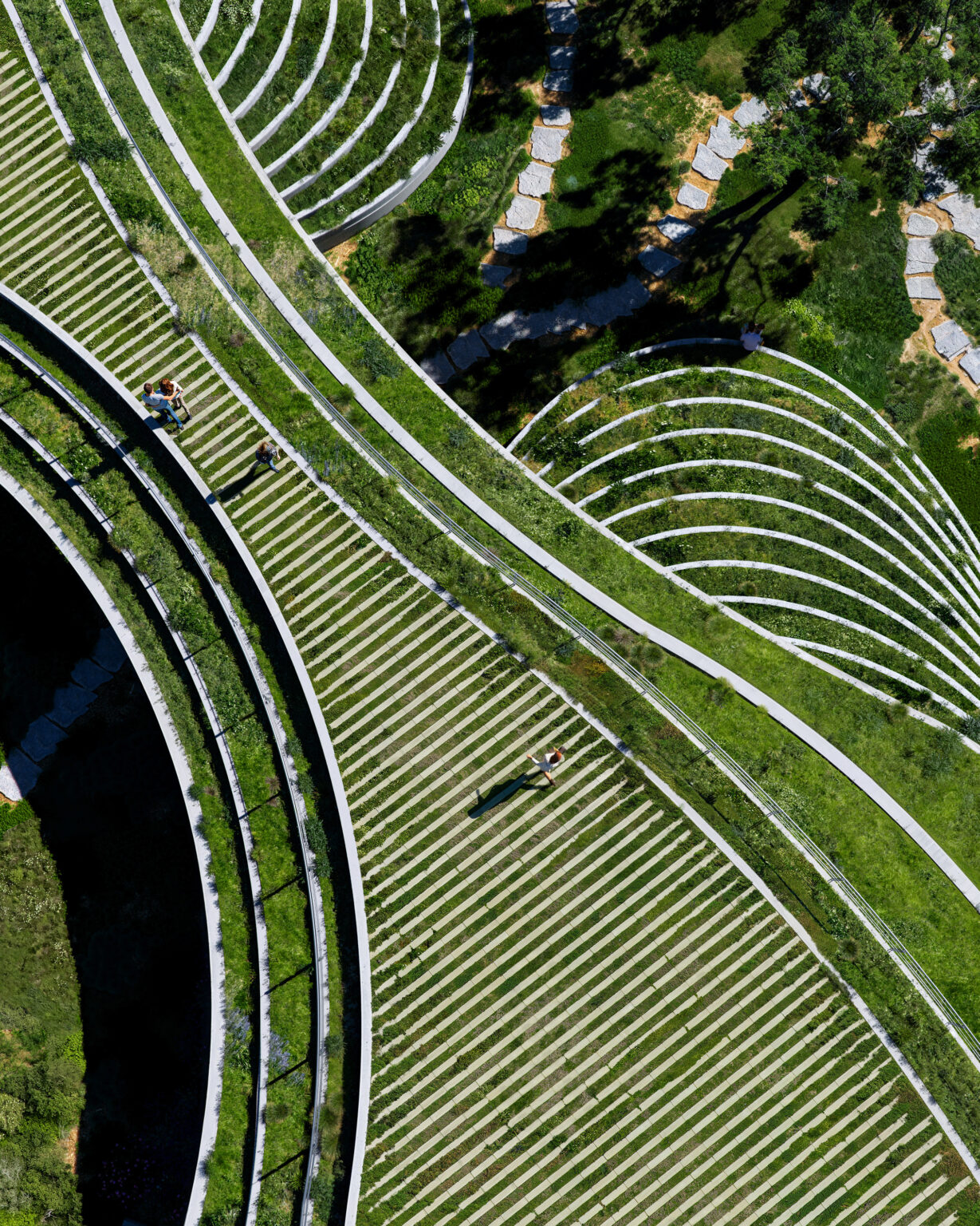 Sordo Madaleno — architectural project photograph 4 from the business website