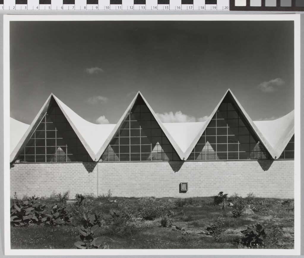 Fábrica de Cartuchos Deportivos con Concreto angular de Concreto