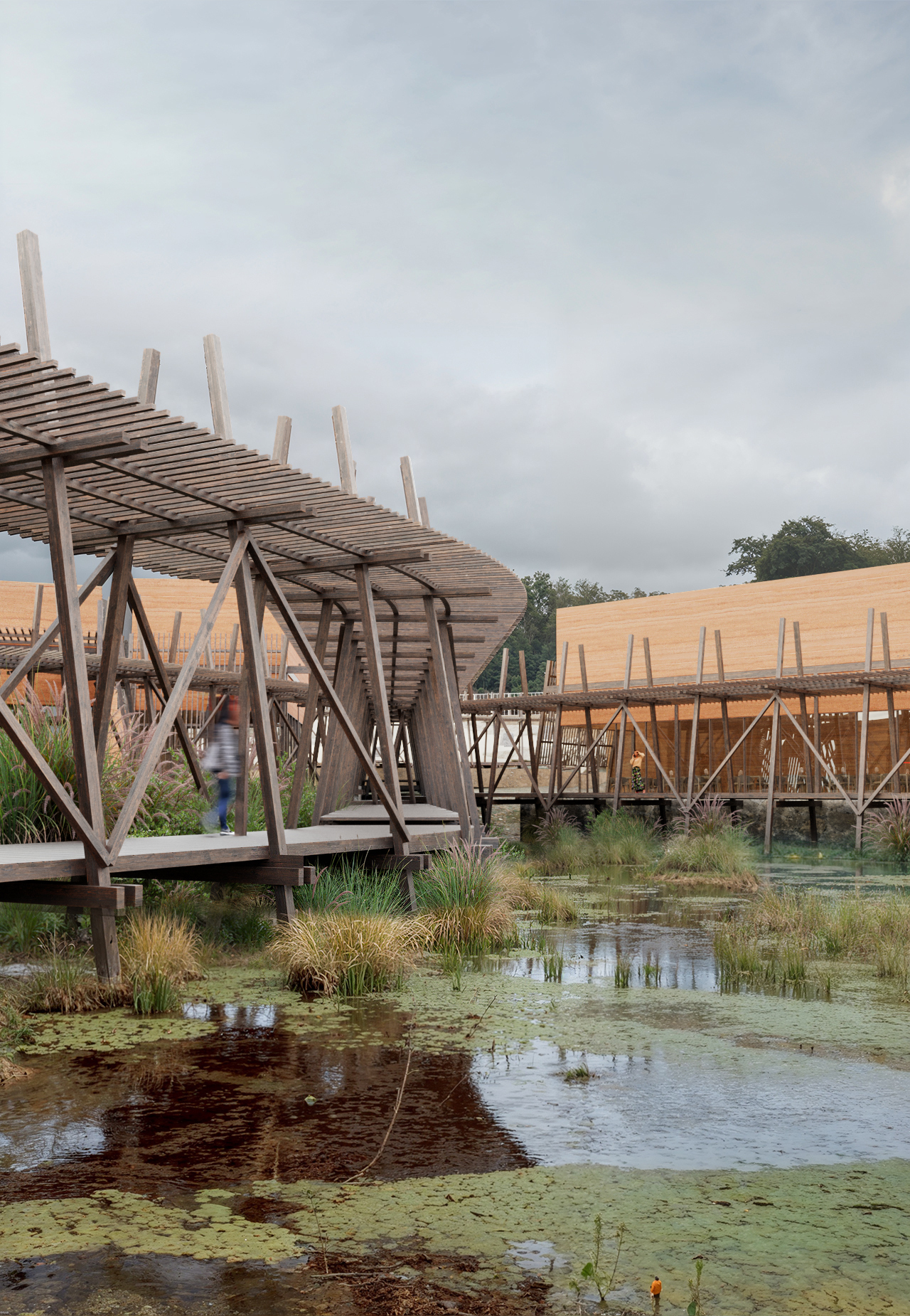 Timber lattice walkway over the wetlands connecting rammed earth pavilions at Parque Arbórea, San Bernardino, Paraguay. By Sordo Madaleno.