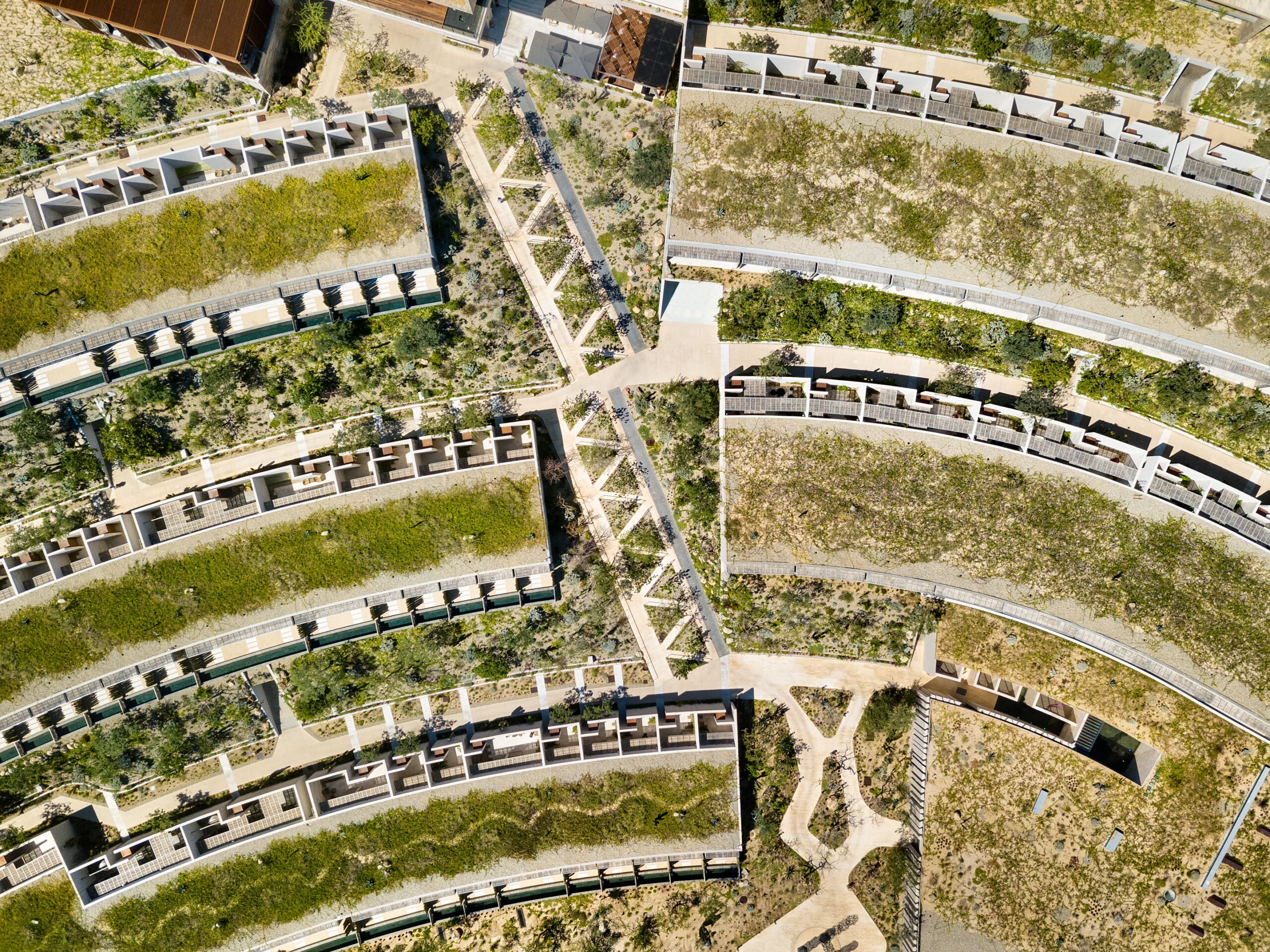Aerial view of Solaz Los Cabos hotel by Sordo Madaleno, curved room wings framing desert courtyards