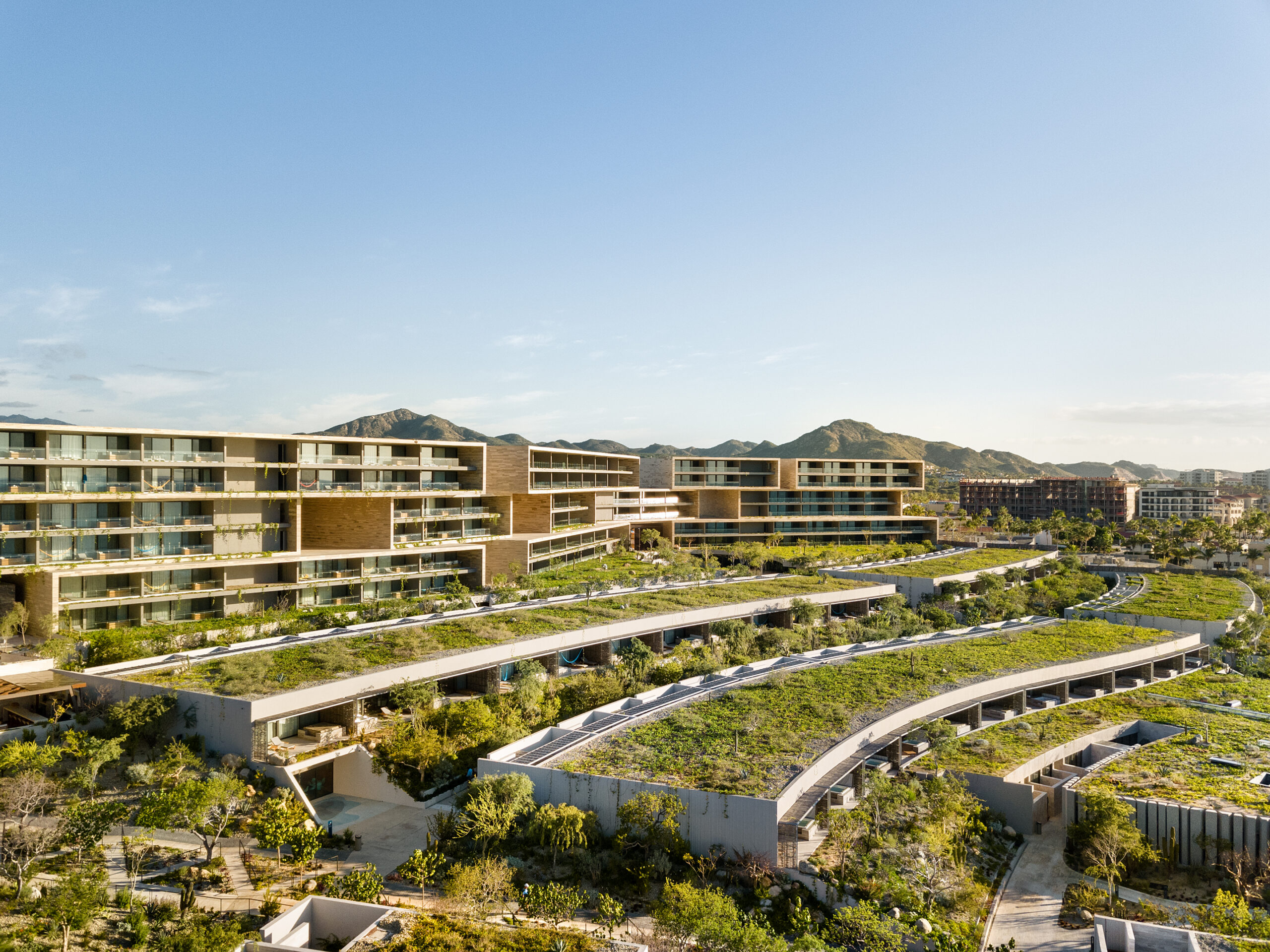 Aerial view of Solaz Los Cabos hotel by Sordo Madaleno, terraced green roofs and mountain backdrop